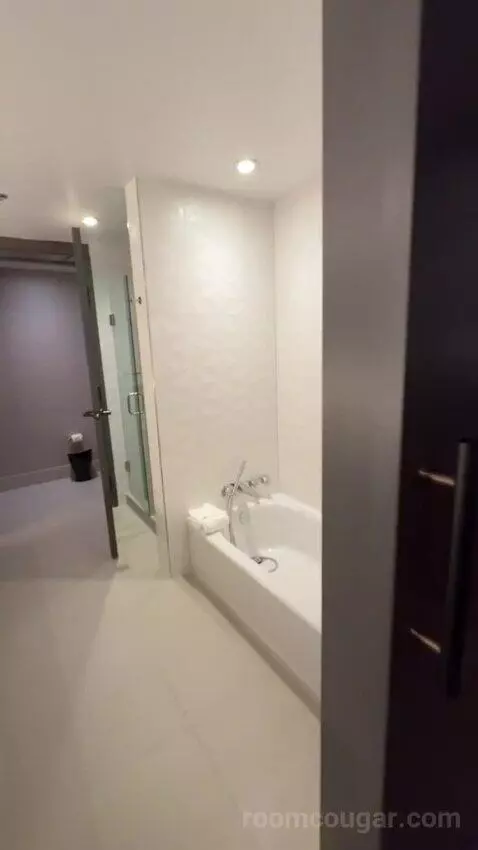 Residential Presidential Suite bathroom picture #1
