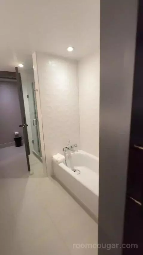 Residential Presidential Suite bathroom picture #2
