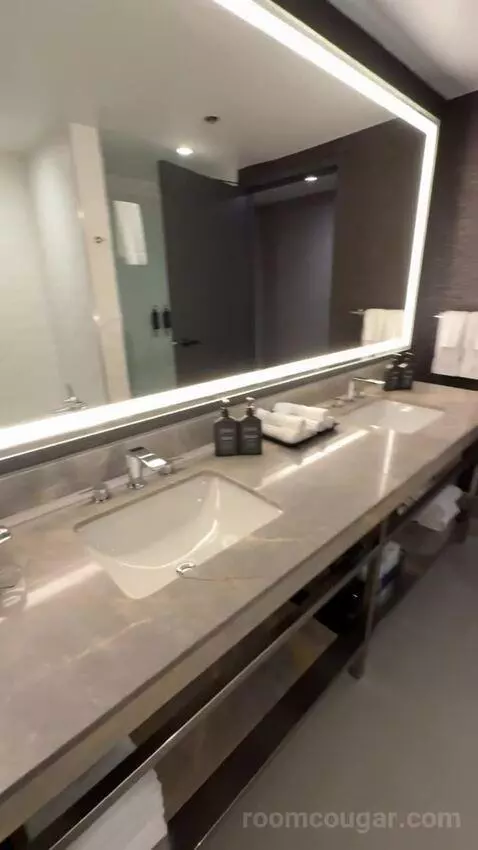 Residential Presidential Suite bathroom picture #3
