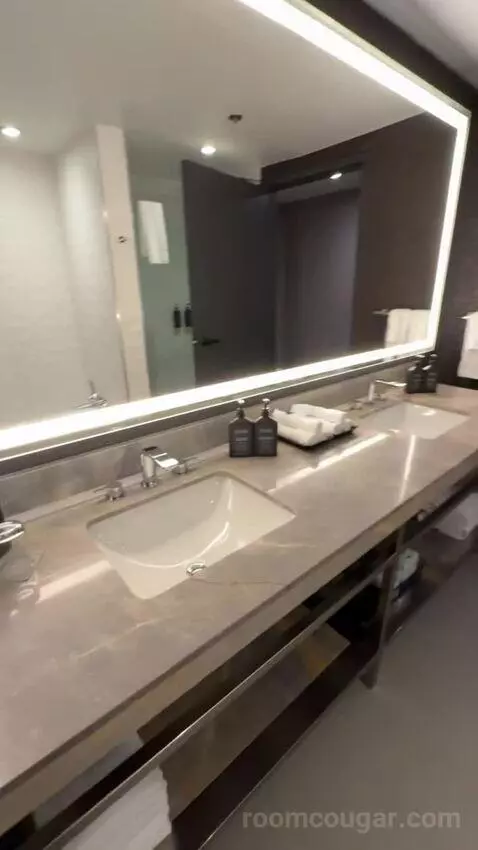 Residential Presidential Suite bathroom picture #4