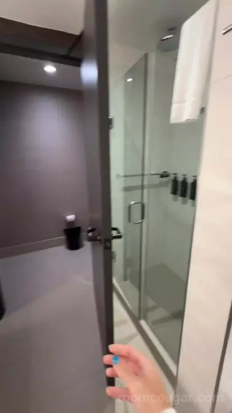 Residential Presidential Suite bathroom picture #5