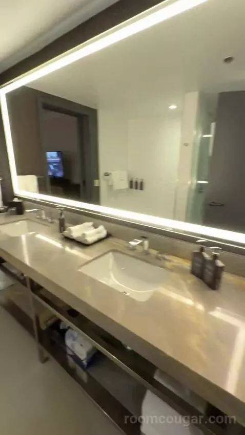 Residential Presidential Suite bathroom picture #9