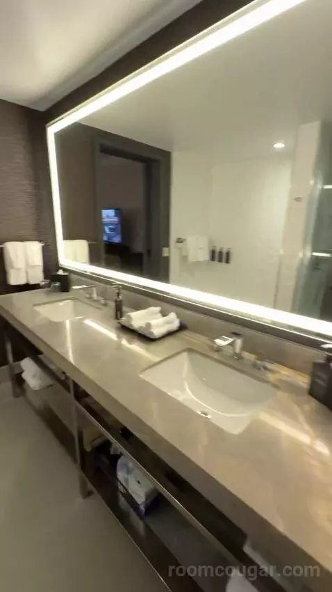 Residential Presidential Suite bathroom picture #10