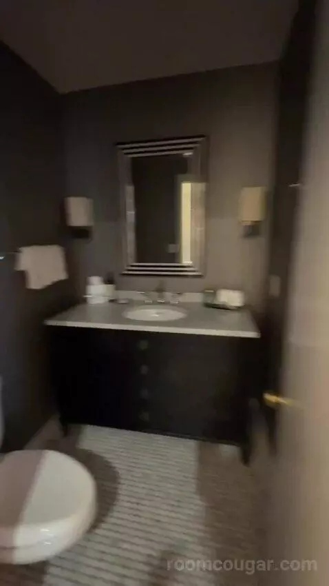 Presidential Suite bathroom picture #5