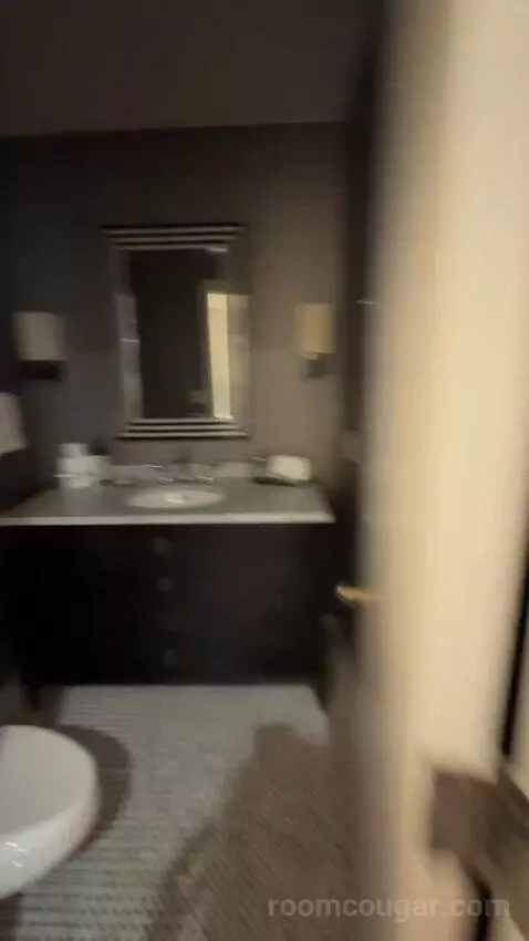 Presidential Suite bathroom picture #6