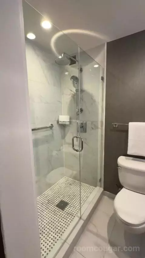Presidential Suite bathroom picture #7