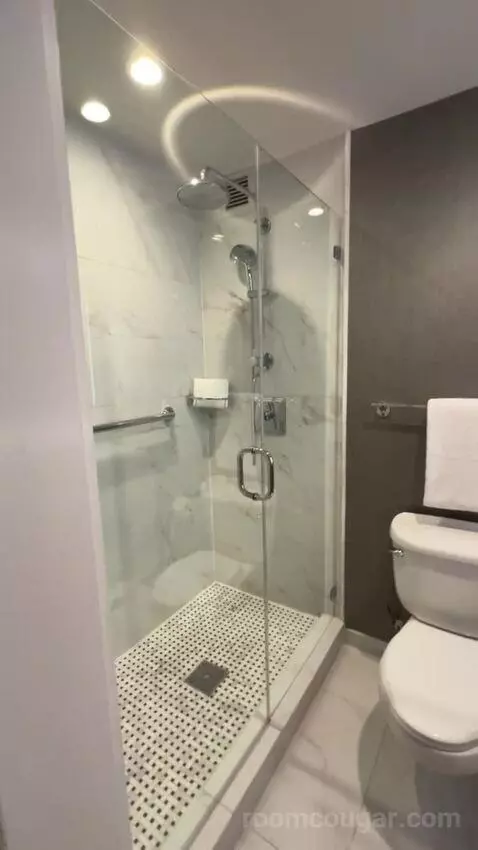 Presidential Suite bathroom picture #8