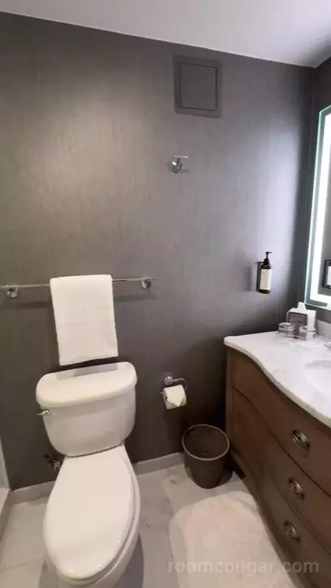 Presidential Suite bathroom picture #9