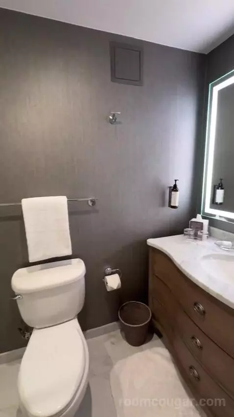 Presidential Suite bathroom picture #10