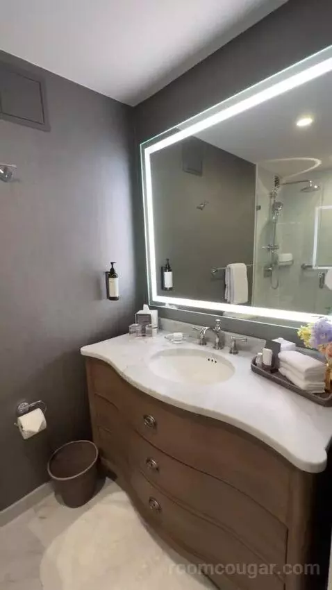 Presidential Suite bathroom picture #12