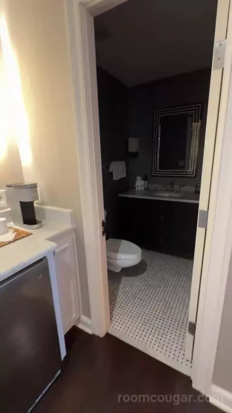 Presidential Suite bathroom picture #4