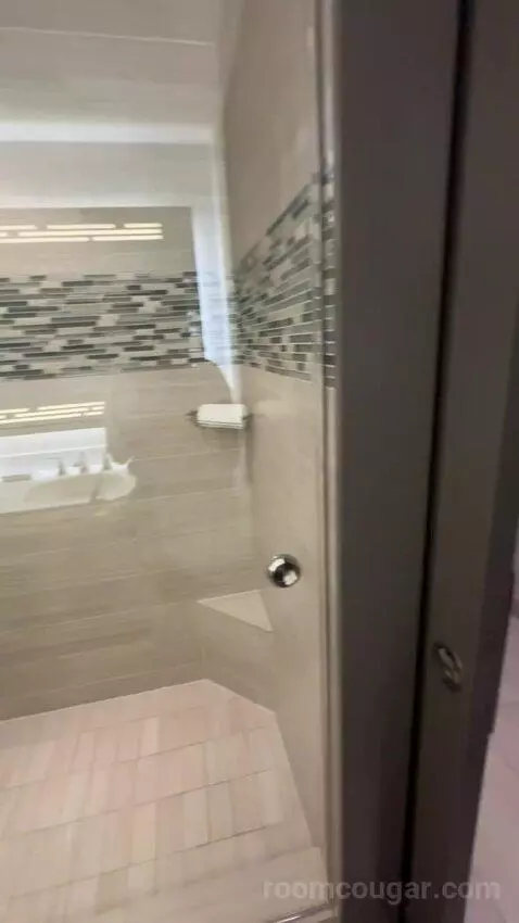 King Room bathroom picture #10