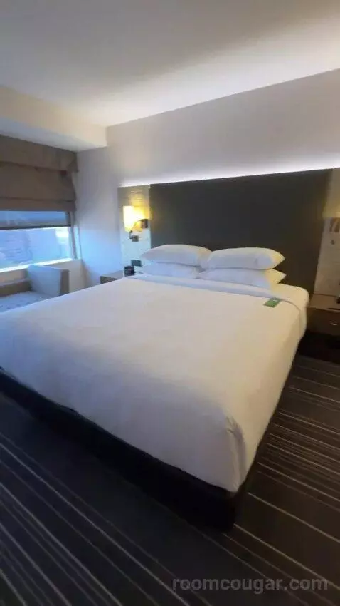 King Room bed picture #7