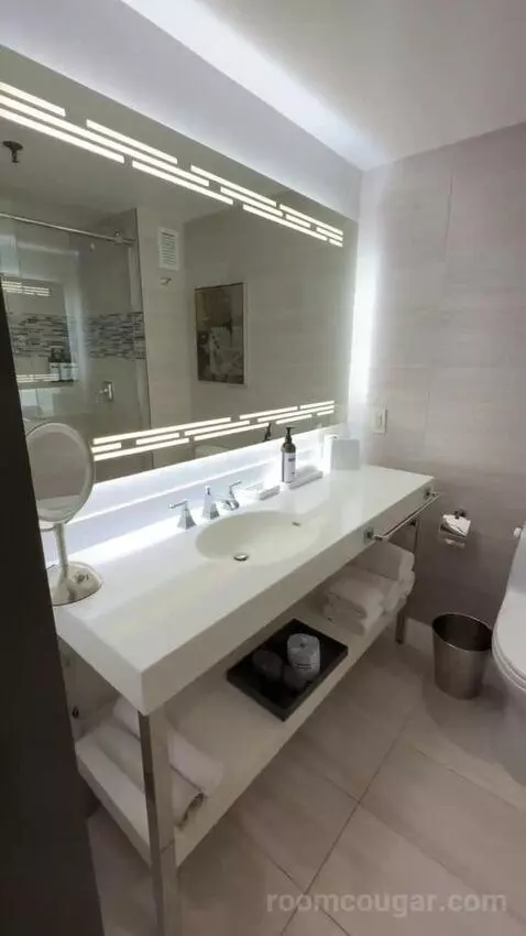 King Room bathroom picture #2