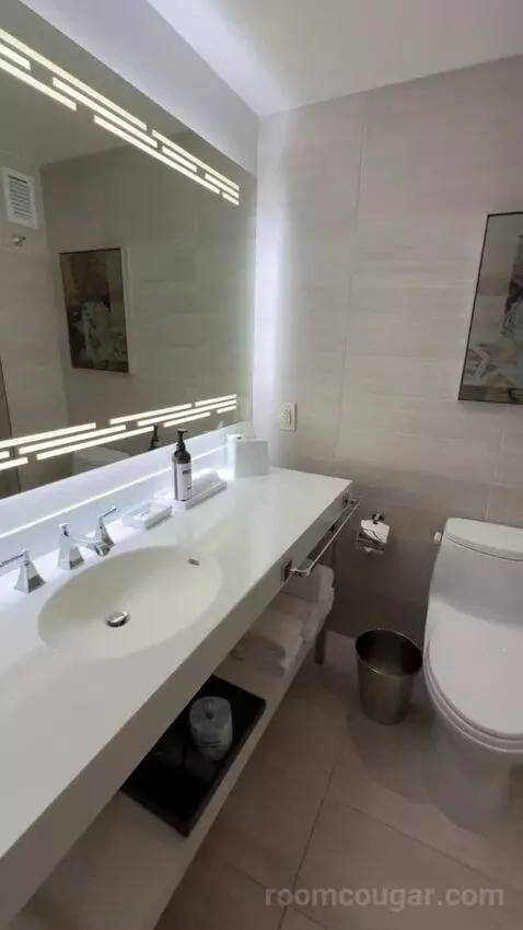 King Room bathroom picture #4