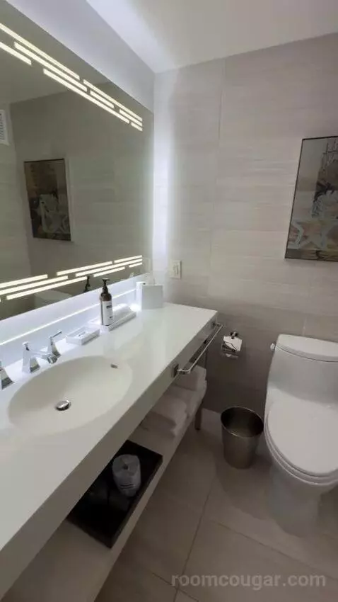 King Room bathroom picture #5