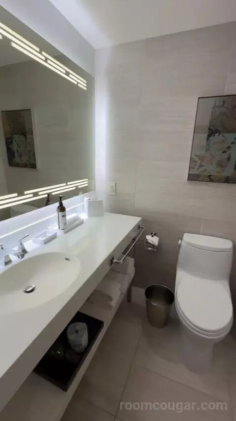 King Room bathroom picture #6