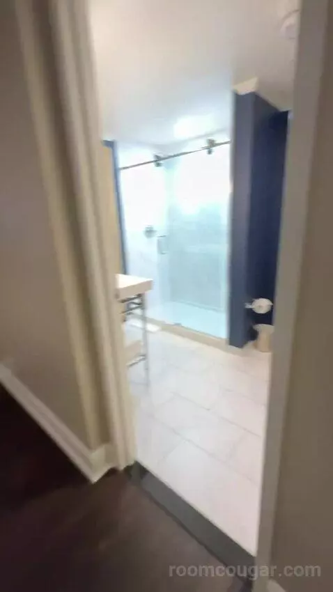 Hollywood Suite bathroom picture #2