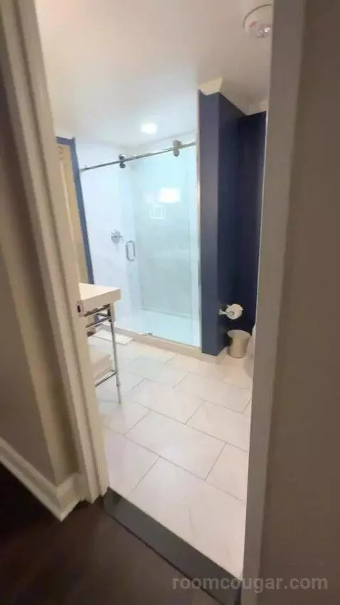 Hollywood Suite bathroom picture #3