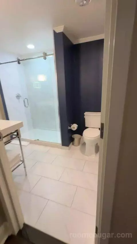 Hollywood Suite bathroom picture #5