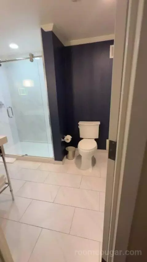 Hollywood Suite bathroom picture #6