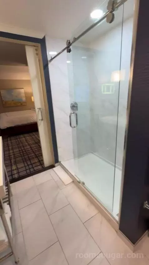 Hollywood Suite bathroom picture #7
