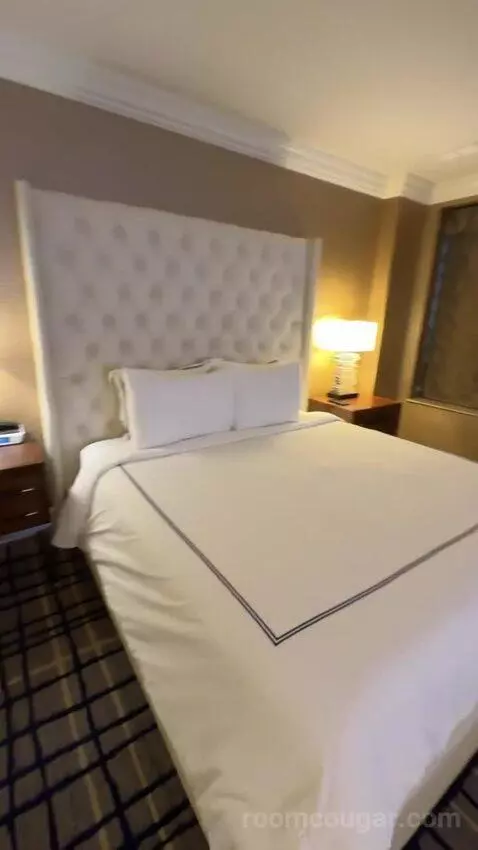 Hollywood Suite bed picture #3