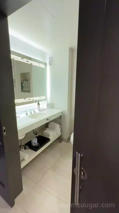 Suite bathroom picture #2