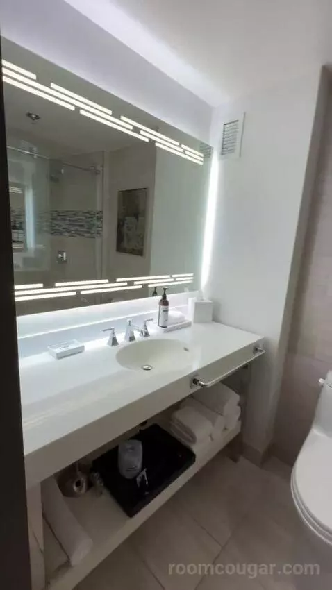 Suite bathroom picture #3