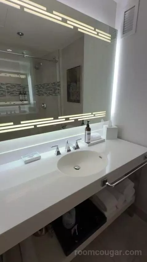 Suite bathroom picture #4