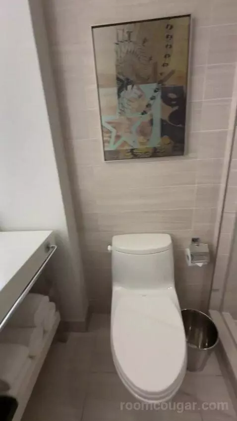 Suite bathroom picture #5