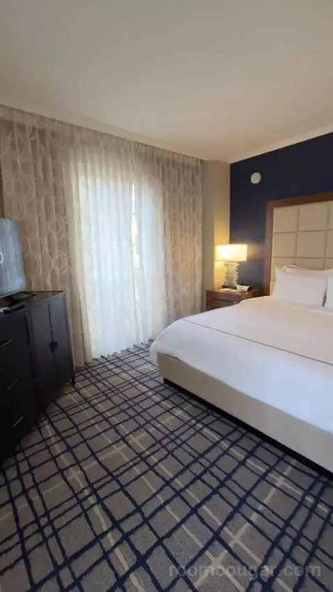 Executive Studio, 1 King Bed bed picture #1