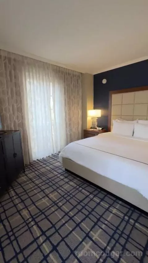 Executive Studio, 1 King Bed bed picture #2