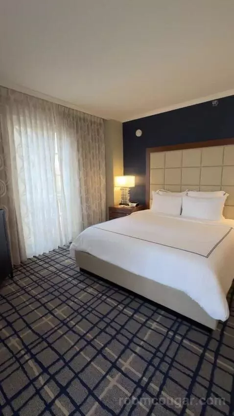 Executive Studio, 1 King Bed bed picture #5