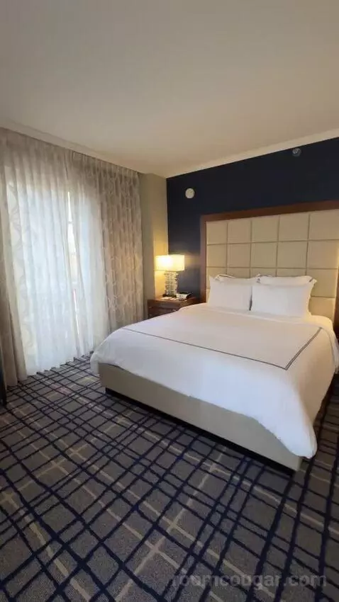 Executive Studio, 1 King Bed bed picture #6