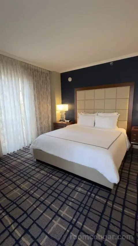 Executive Studio, 1 King Bed bed picture #8