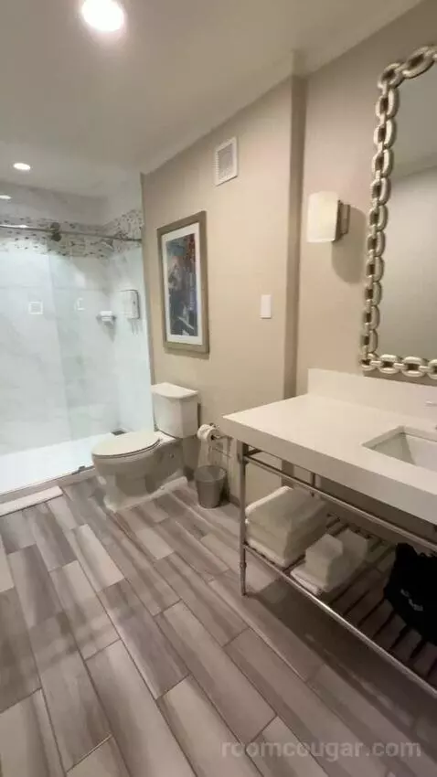 Executive Studio, 1 King Bed bathroom picture #6