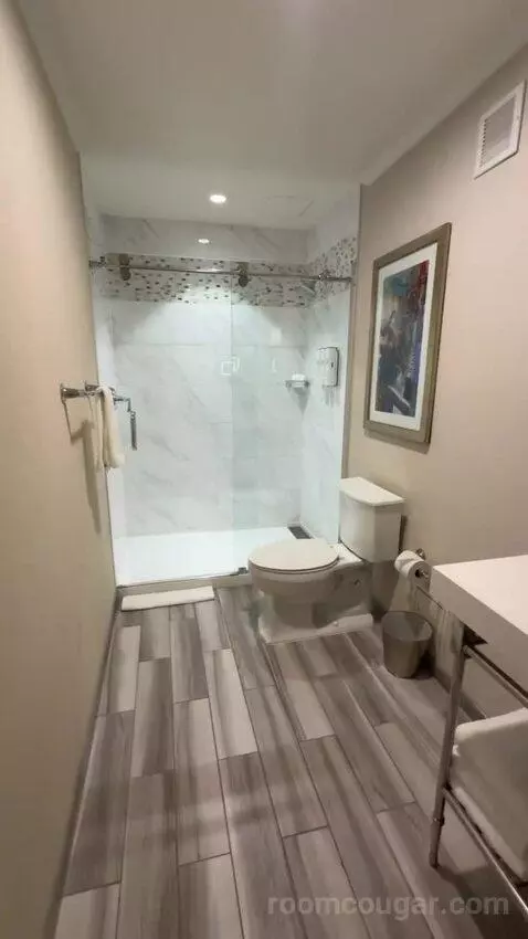Executive Studio, 1 King Bed bathroom picture #7