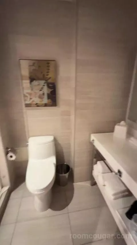 Suite with Terrace bathroom picture #5