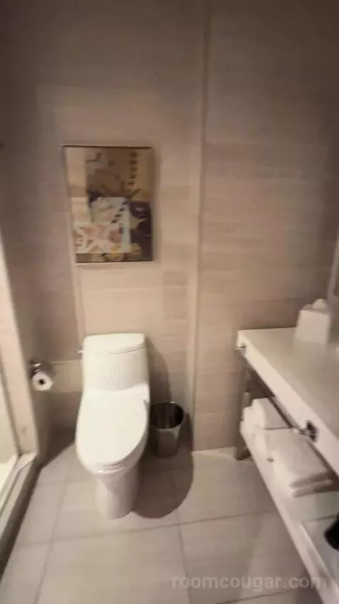 Suite with Terrace bathroom picture #6