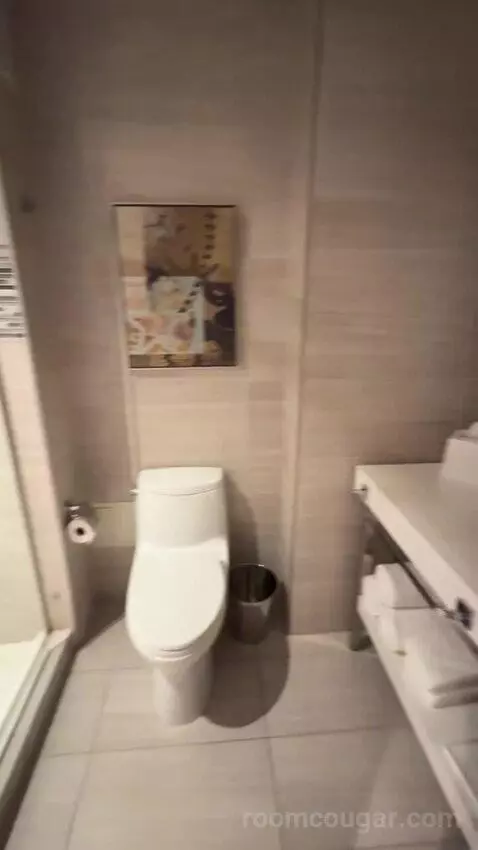 Suite with Terrace bathroom picture #7