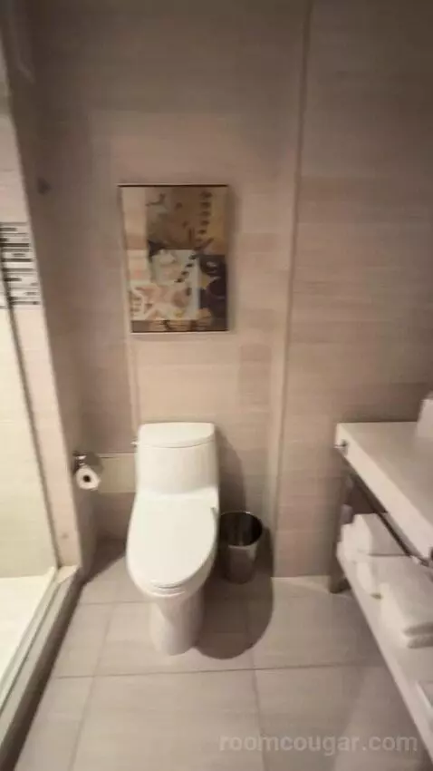 Suite with Terrace bathroom picture #8