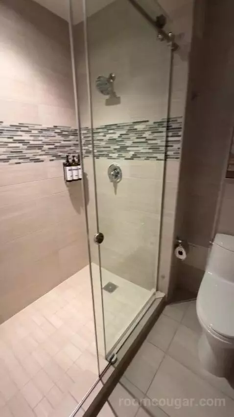 Suite with Terrace bathroom picture #9