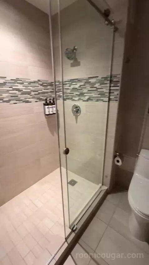 Suite with Terrace bathroom picture #10