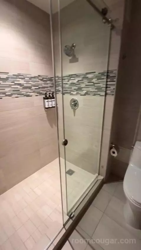 Suite with Terrace bathroom picture #11