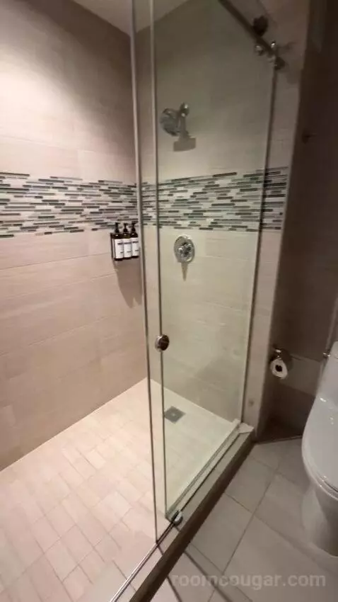 Suite with Terrace bathroom picture #12