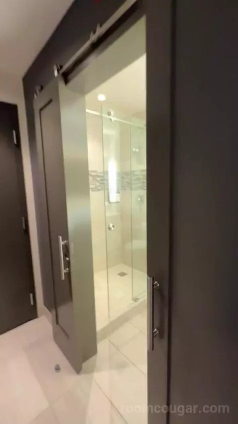 Suite with Terrace bathroom picture #2