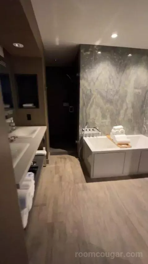Vip Luxury Suite bathroom picture #4