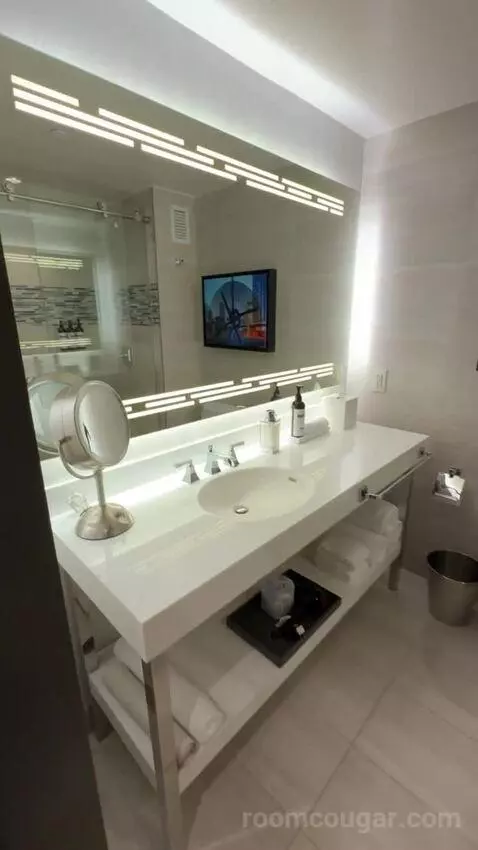 Vip Luxury Suite bathroom picture #1