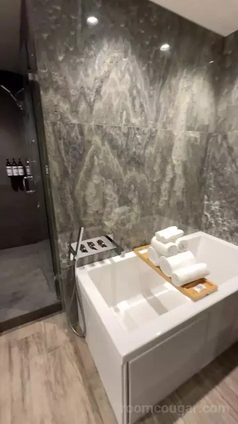 Vip Luxury Suite bathroom picture #5